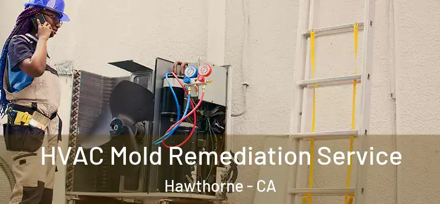 HVAC Mold Remediation Service Hawthorne - CA