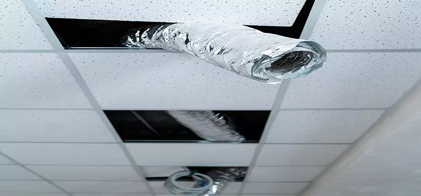 Affordable HVAC Sanitizing After Pest Removal in Hawthorne