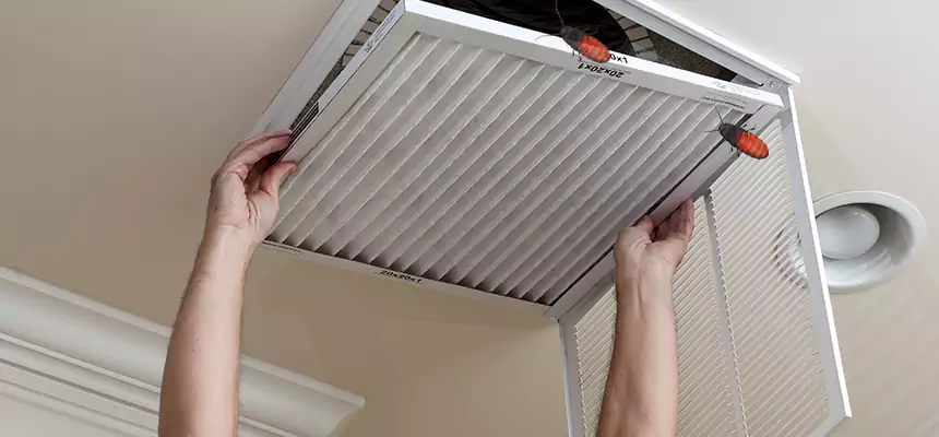 Our Insect Removal from Air Ducts Services in Hawthorne, CA