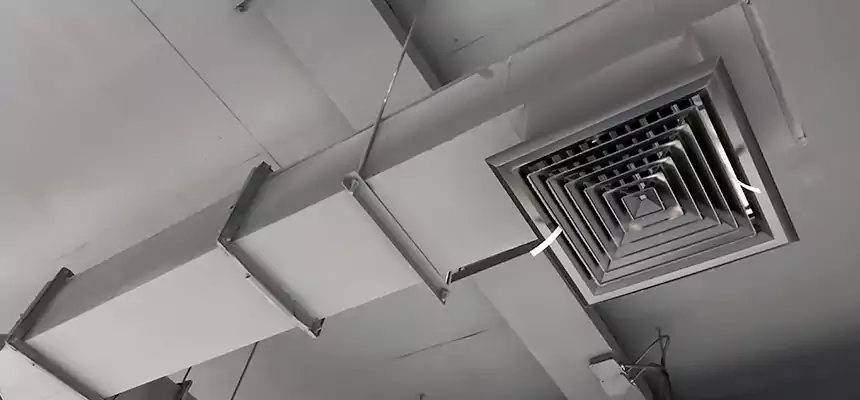 Our Rodent Droppings In Vents Services in Hawthorne, CA