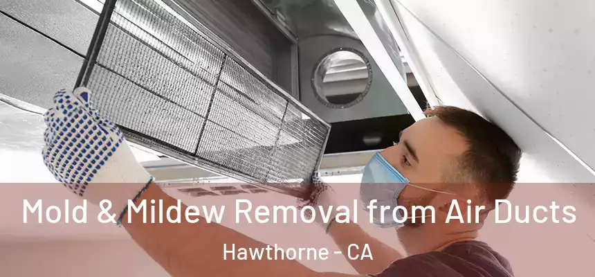Mold & Mildew Removal from Air Ducts Hawthorne - CA