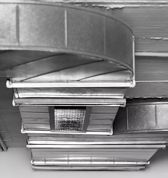 Professional Air Duct Pet Hair Removal in Hawthorne, CA