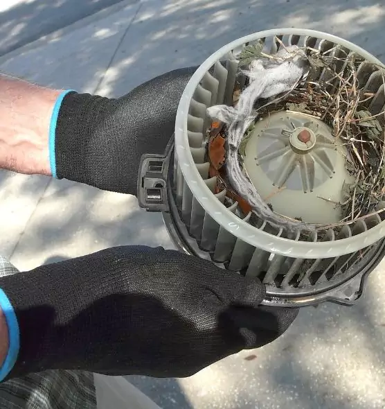 About Air Duct Rat Removal in Hawthorne, CA