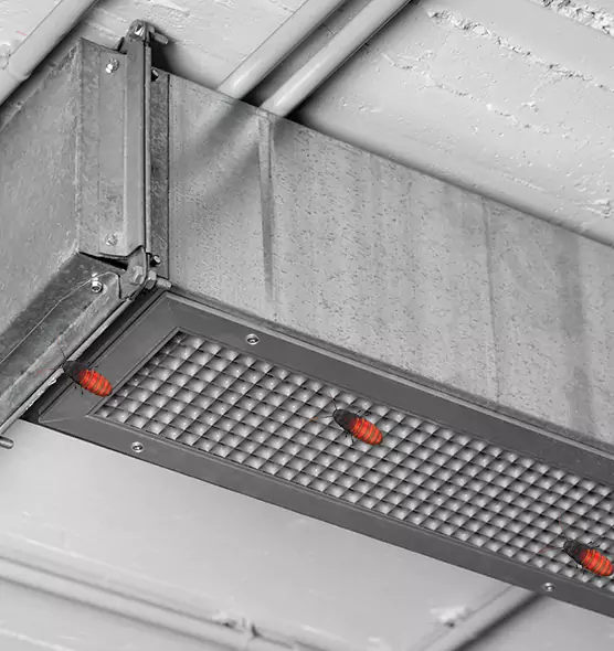 Affordable Insect Removal from Air Ducts in Hawthorne, CA