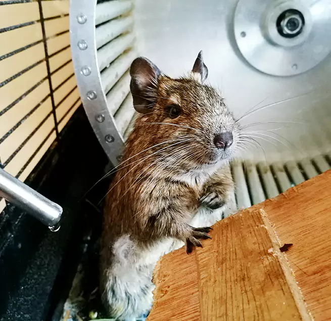 Why Homeowners & Businesses Trust Us Hawthorne, CA